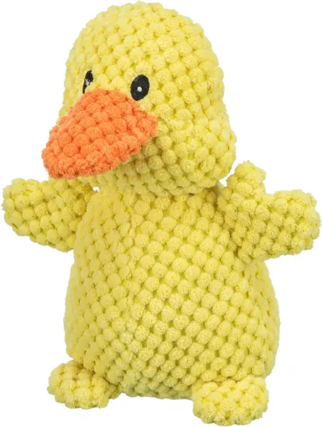 Küken